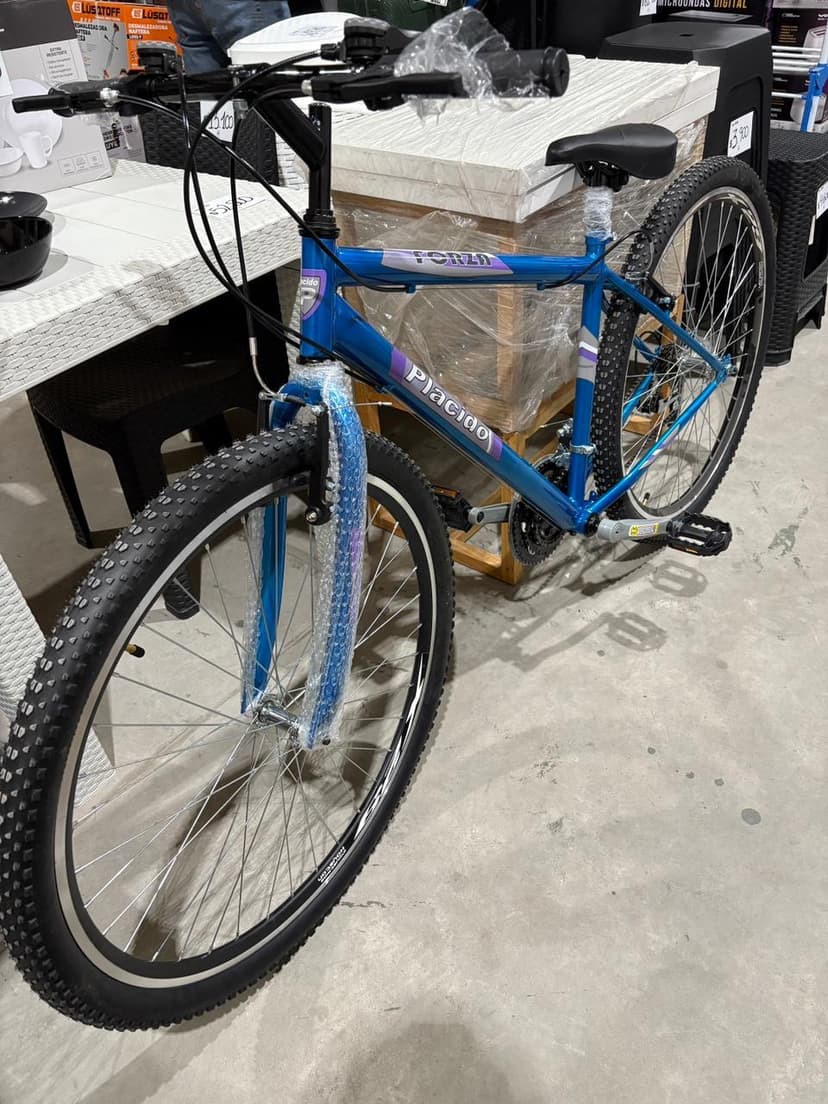 Bicicleta Steel Rod 29